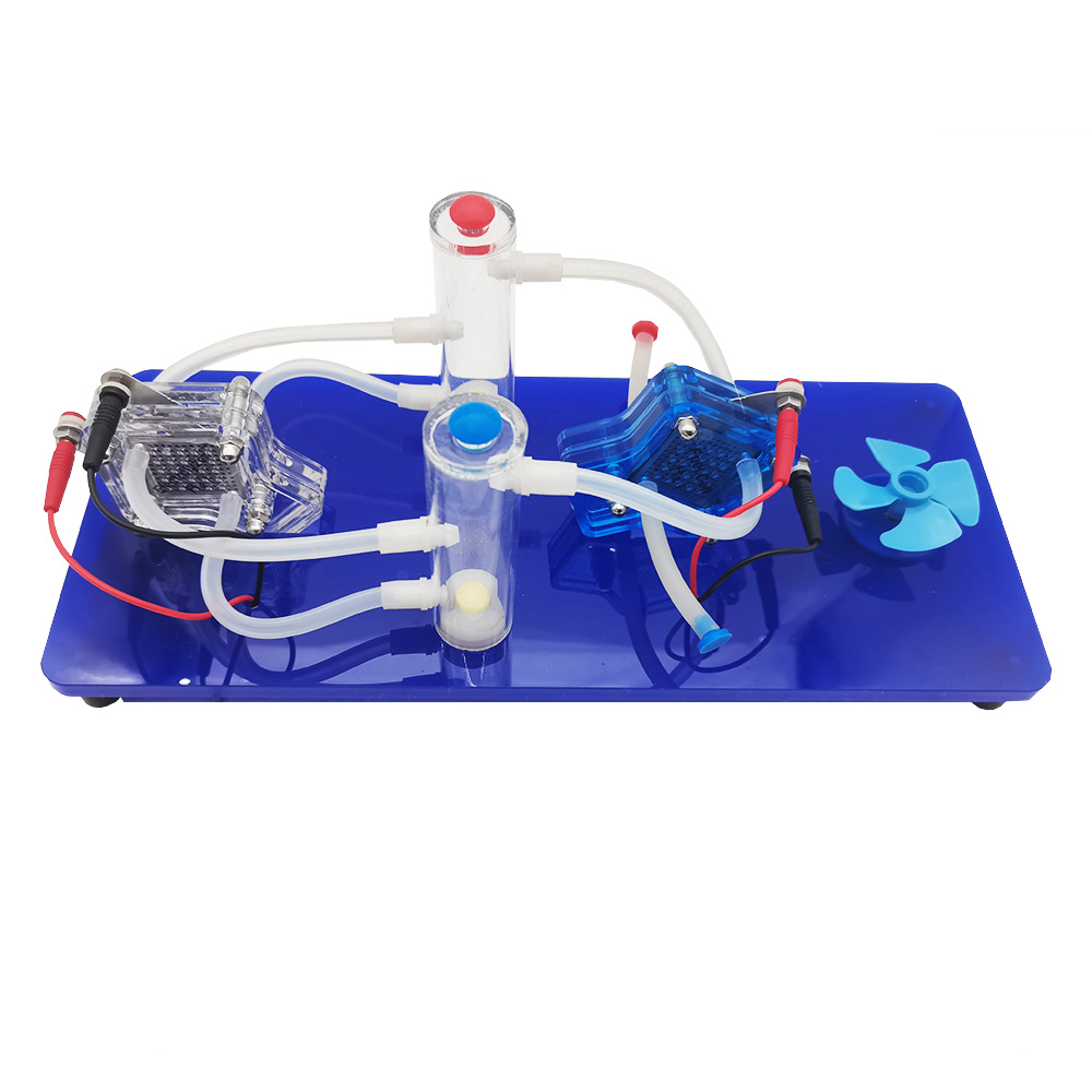 MS812-A4 Hydrogen Fuel Cell De - Renewable Energy Hydrogen ulasan dan harga